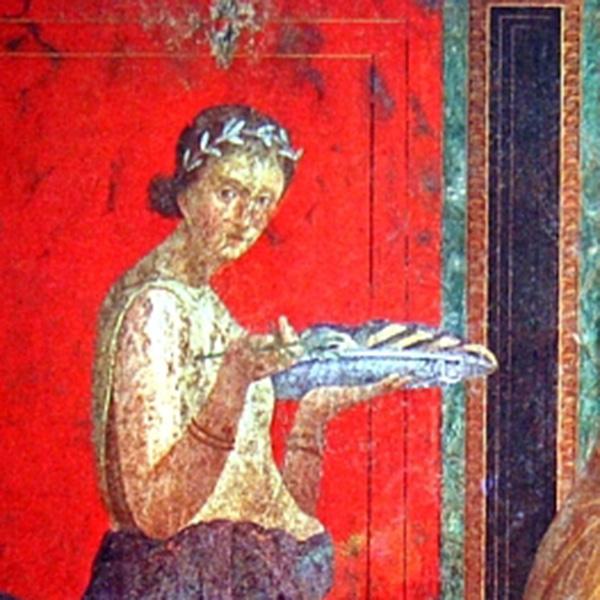 Getting Started: The basics