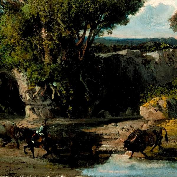 Lesson 9 - Country Life