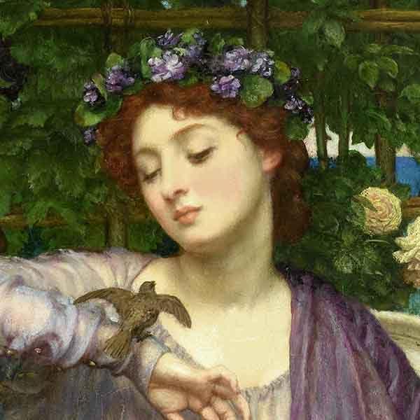 Lesson 16 - Catullus Gets the Bird